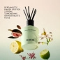 Preview: BABOR Soul und Room Fragrance Agathist
