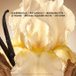Preview: BABOR Body Soul & Body Eau de Parfum Grounding