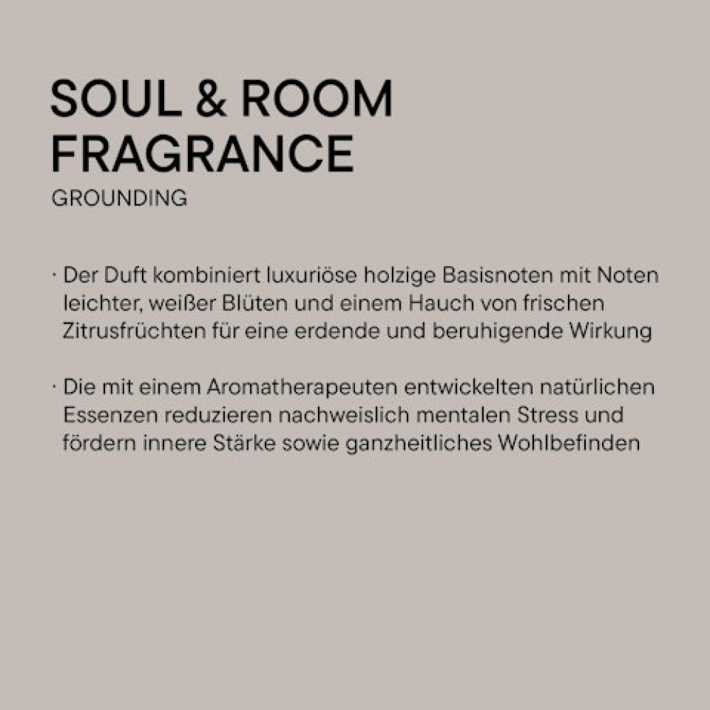 BABOR Soul und Room Fragrance Grounding
